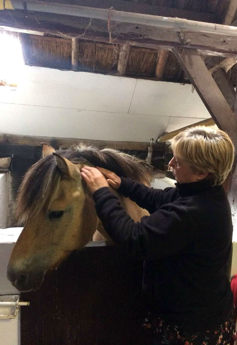 Reiki | Cruyd& - Natuurgeneeskundige praktijk voor dieren en mens
