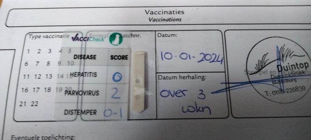 Titeren of vaccineren