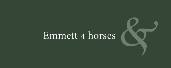 Emmett 4 horses | Praktijk voor dieren categorieen | Cruyden Praktijk voor dier en mens